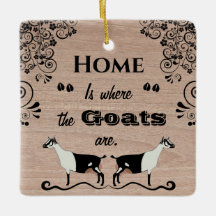 Thuis is waar de geiten zijn - Alpiene melkgeit