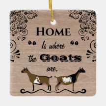 Thuis is waar de geiten zijn - Nigeriaanse dwergge