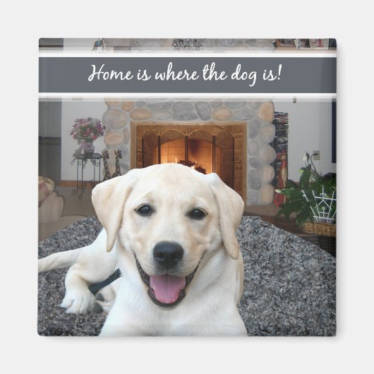 Thuis is waar de hond is magneet (Voorkant)