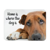 Thuis is waar de hond magneet (Horizontaal)