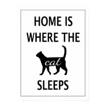 Thuis is waar de kattenslaapjes