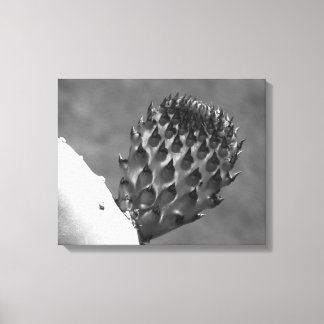 "Thuis is waar het is." canvas afdruk