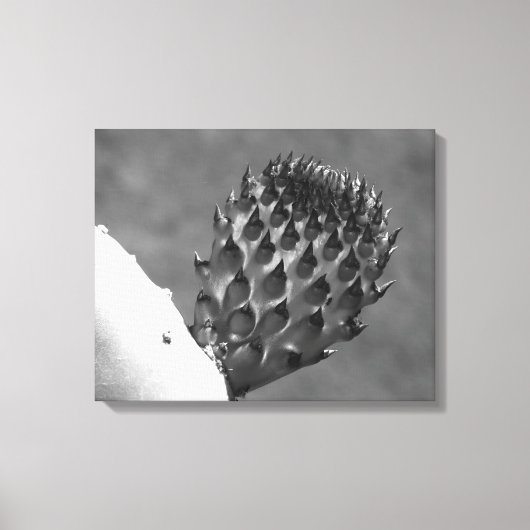 "Thuis is waar het is." canvas afdruk (Voorkant)
