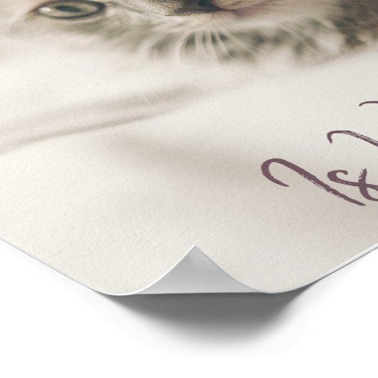 Thuis is waar je kat is poster (Hoek)