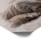 Thuis Is Waar Jouw Shih Tzu Is Poster (Hoek)