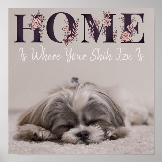 Thuis Is Waar Jouw Shih Tzu Is Poster (Voorkant)