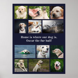 Thuis is waar onze hond is poster