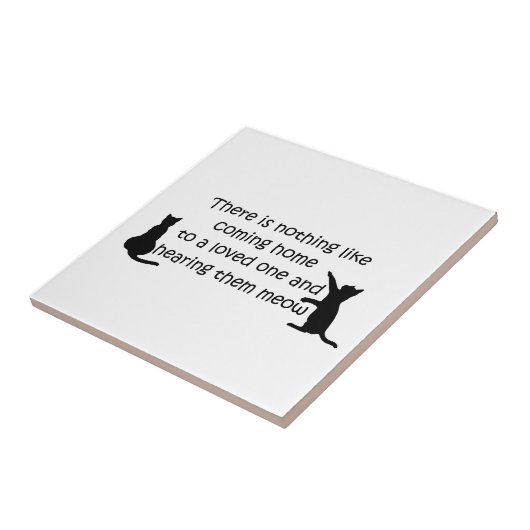 Thuis naar een kat tegeltje (Zijkant)
