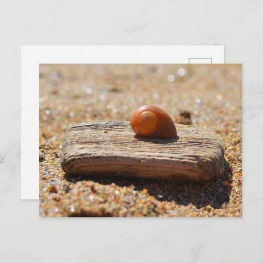 Thuis op de strand briefkaart (Voorkant / Achterkant)