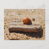 Thuis op de strand briefkaart (Voorkant)