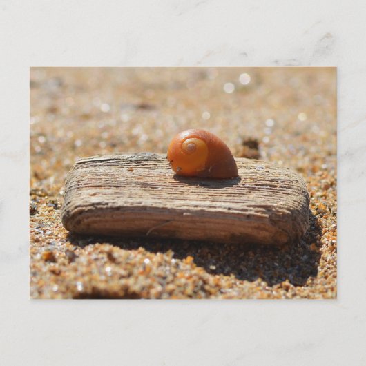 Thuis op de strand briefkaart (Voorkant)