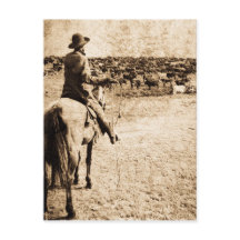 Thuis op de Waaier  Lone Cowboy Rancher