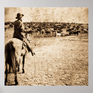 Thuis op het bereik poster