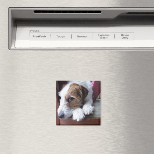 Thuis op zondag magneet (Insitu (Vaatwasser))