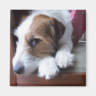 Thuis op zondag magneet