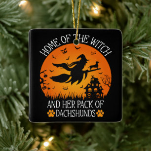 Thuis van de heks en haar pakje teckels cool keramisch ornament