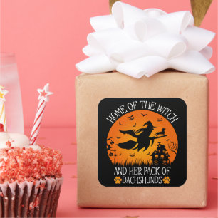 Thuis van de heks en haar pakje teckels cool vierkante sticker