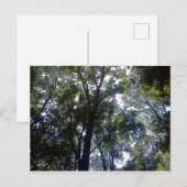 Thuis van Elves Briefkaart (Voorkant / Achterkant)