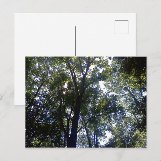 Thuis van Elves Briefkaart (Voorkant / Achterkant)