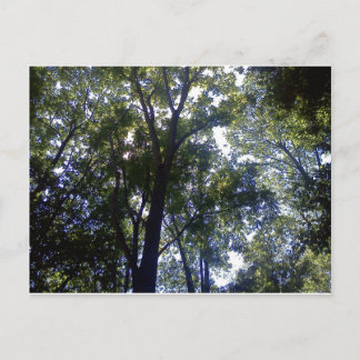 Thuis van Elves Briefkaart