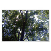 Thuis van Elves Foto Afdruk (Voorkant)