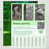 Thuis voor Altijd, Alsjeblieft? (Voorkant / Achterkant)