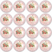 Thuisgemaakte aardbei-conservering inblikken 3 in sticker (Voorkant)