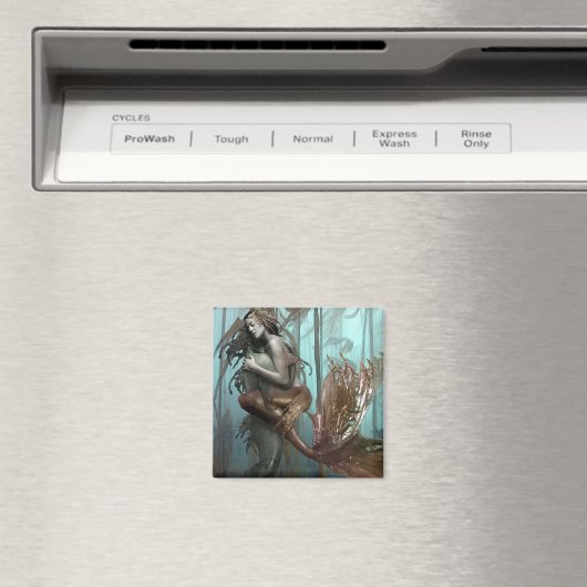 thuiskomst magneet (Insitu (Vaatwasser))