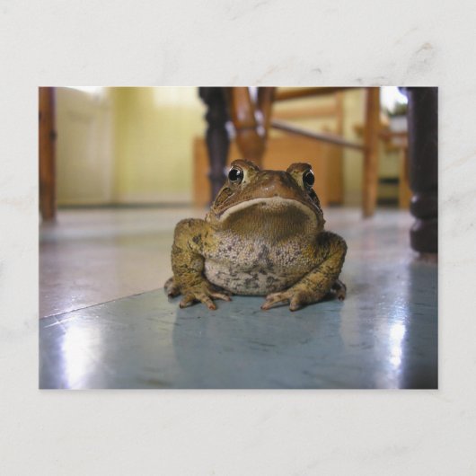 Thuispad Briefkaart (Voorkant)