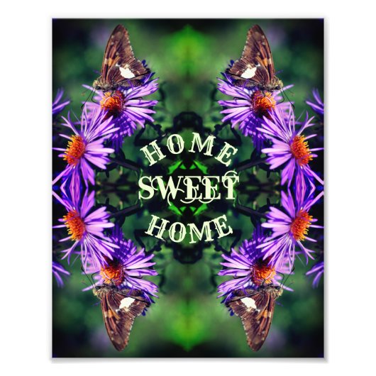 Thuisvliegenvlucht - Abstract voor thuisgebruik Foto Afdruk (Voorkant)