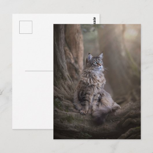 Thula Briefkaart (Voorkant / Achterkant)