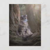 Thula Briefkaart (Voorkant)