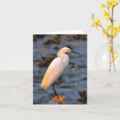 Thula van Egretta Kaart (Gele Bloem)