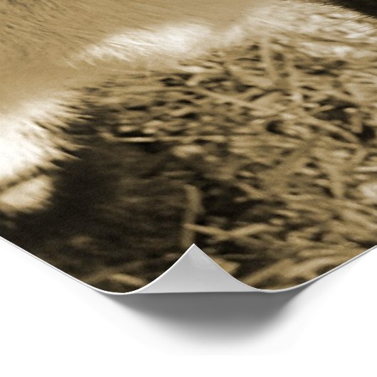 Thumbalina de Goat-Kind Poster (Hoek)