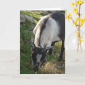 Thumbelina de mooie geit kaart (Gele Bloem)