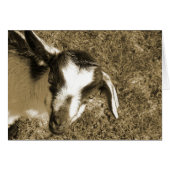 Thumblina (Voorkant Horizontaal)