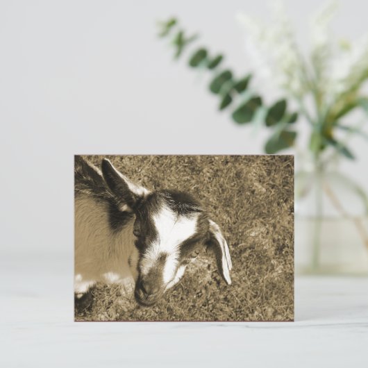 Thumblina Briefkaart (Staand voorkant)