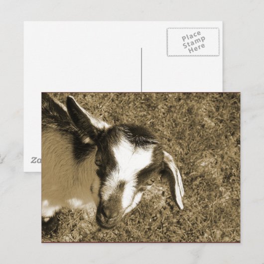 Thumblina Briefkaart (Voorkant / Achterkant)