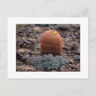 "Thumbs Up" Briefkaart