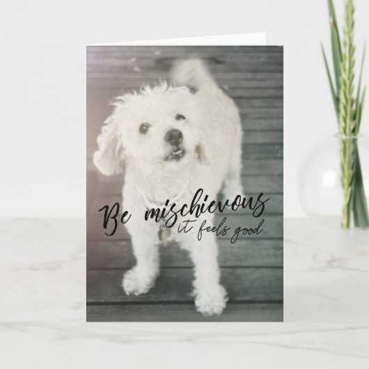 THUMPER DOG-Wenskaart Bedankkaart (Voorkant)