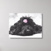 Thumperportret Canvas Afdruk (Voorkant)