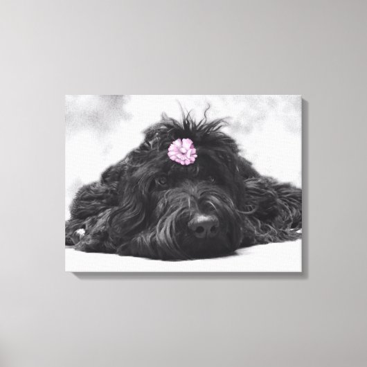 Thumperportret Canvas Afdruk (Voorkant)