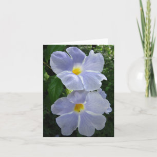 Thunbergia Fairy Moon Foto gevouwen Note Kaart