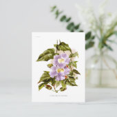 Thunbergia grandiflora briefkaart (Staand voorkant)