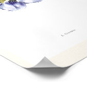 Thunbergia grandiflora poster (Hoek)