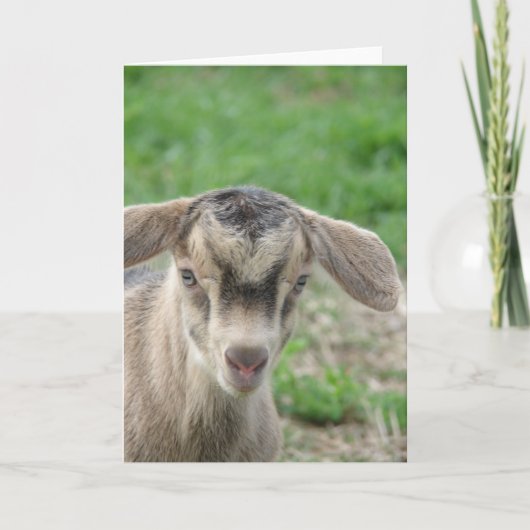 Thunder at One Day Old Kaart (Voorkant)