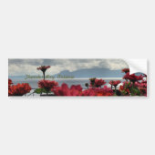 Thunder Bay Bumpersticker (Voorkant)