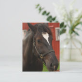 Thunder Horse Briefkaart (Staand voorkant)