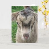 Thunder Kaart (Gele Bloem)