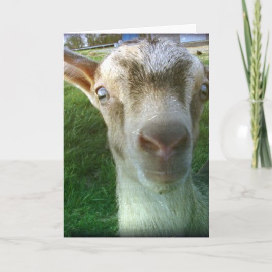 Thunder Kaart (Voorkant)